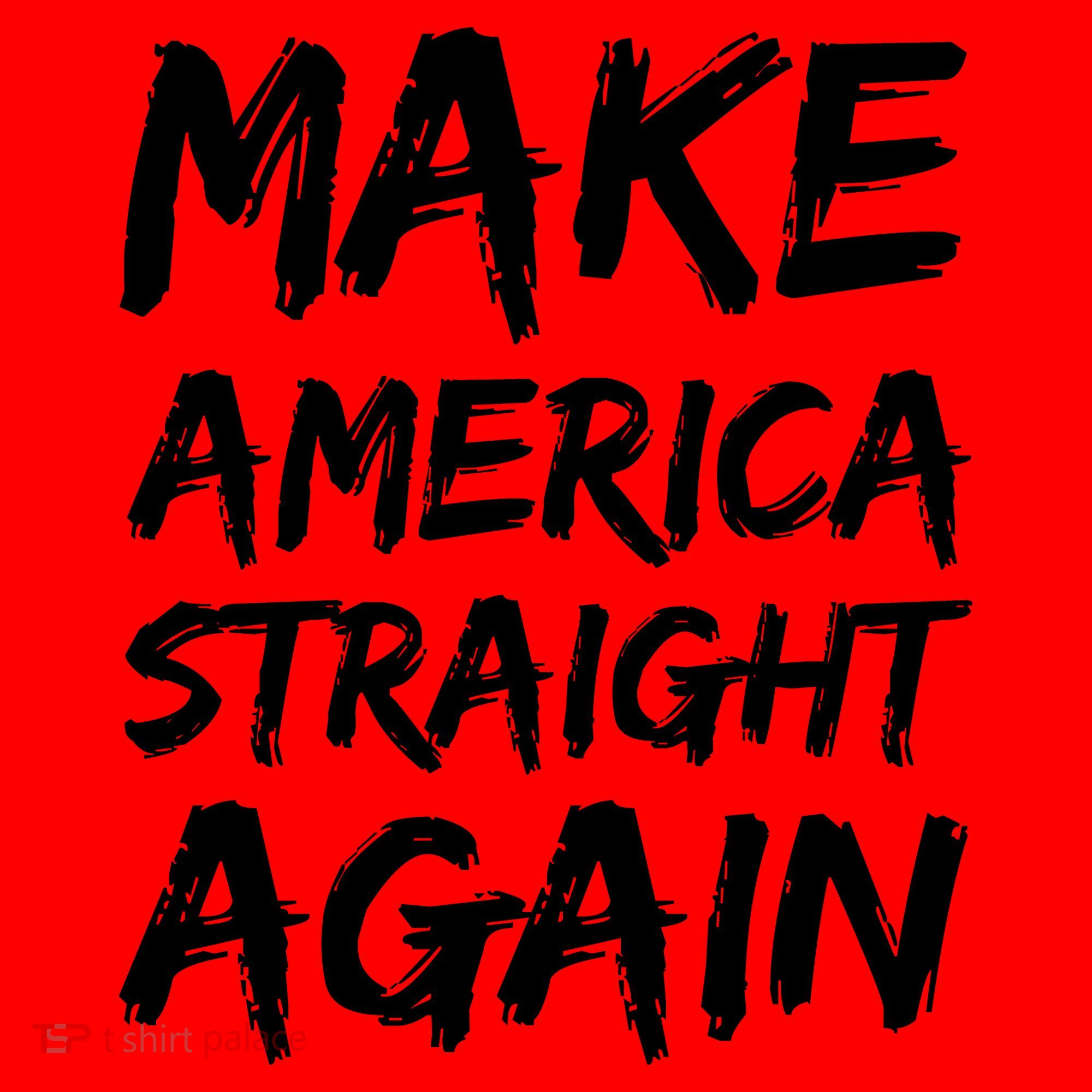MASA Make America Straight Again Santa Hat