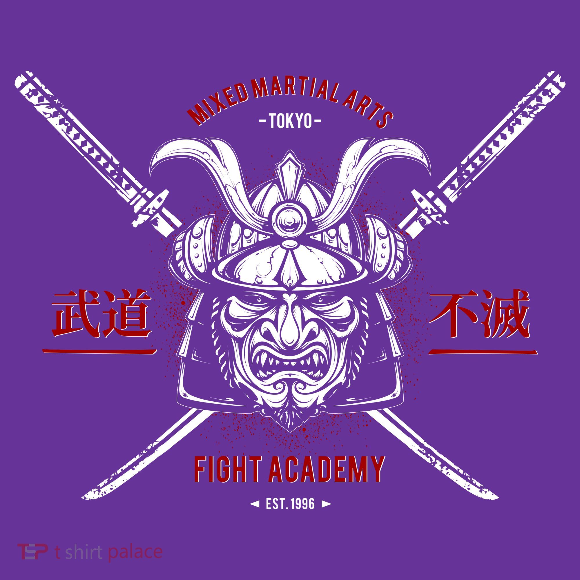 Mixed Martial Arts FIght Academy Samurai Warrior Visor