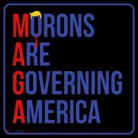 Maga Morons Are Governing America Women's Hoodie thumb 2