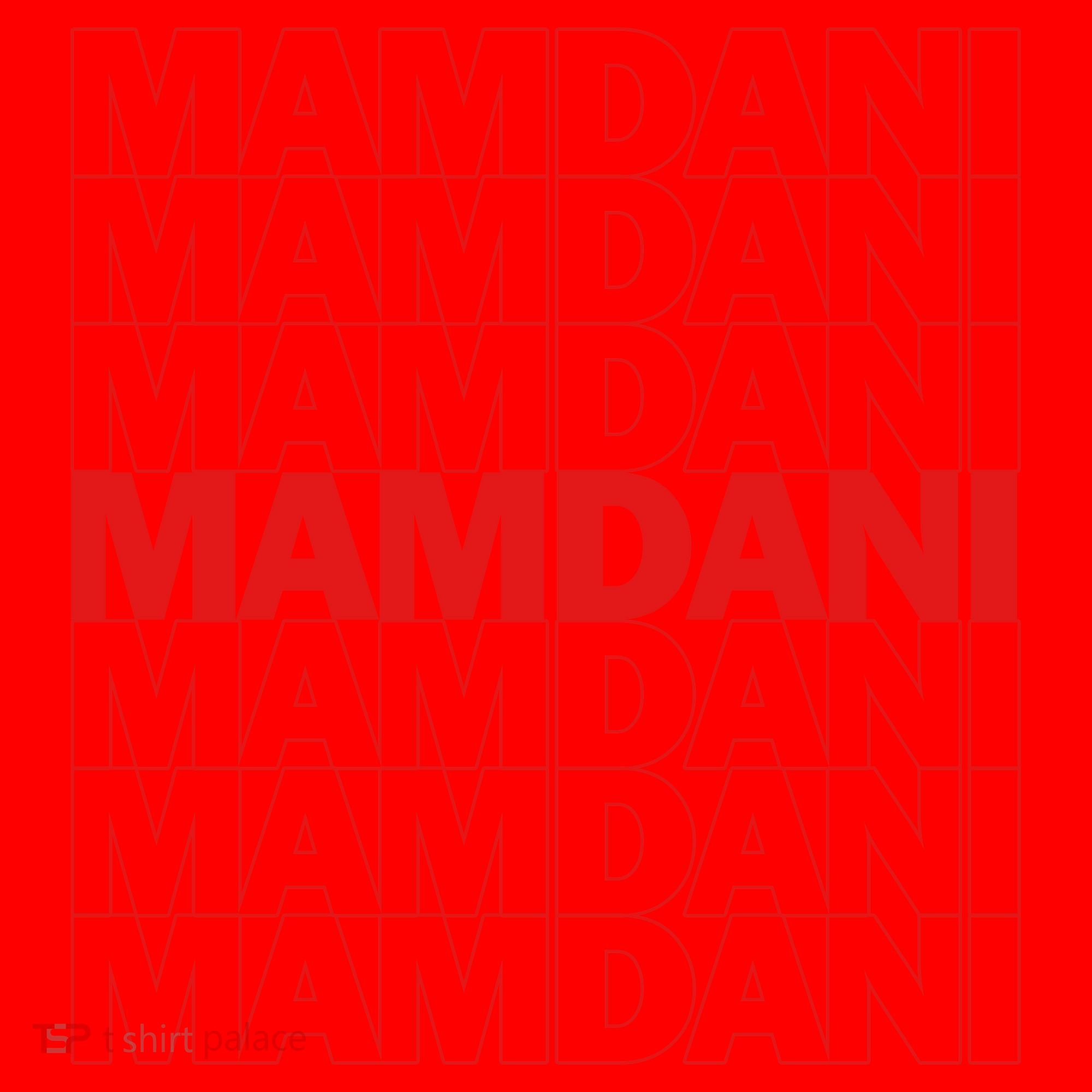 Mamdami Santa Hat