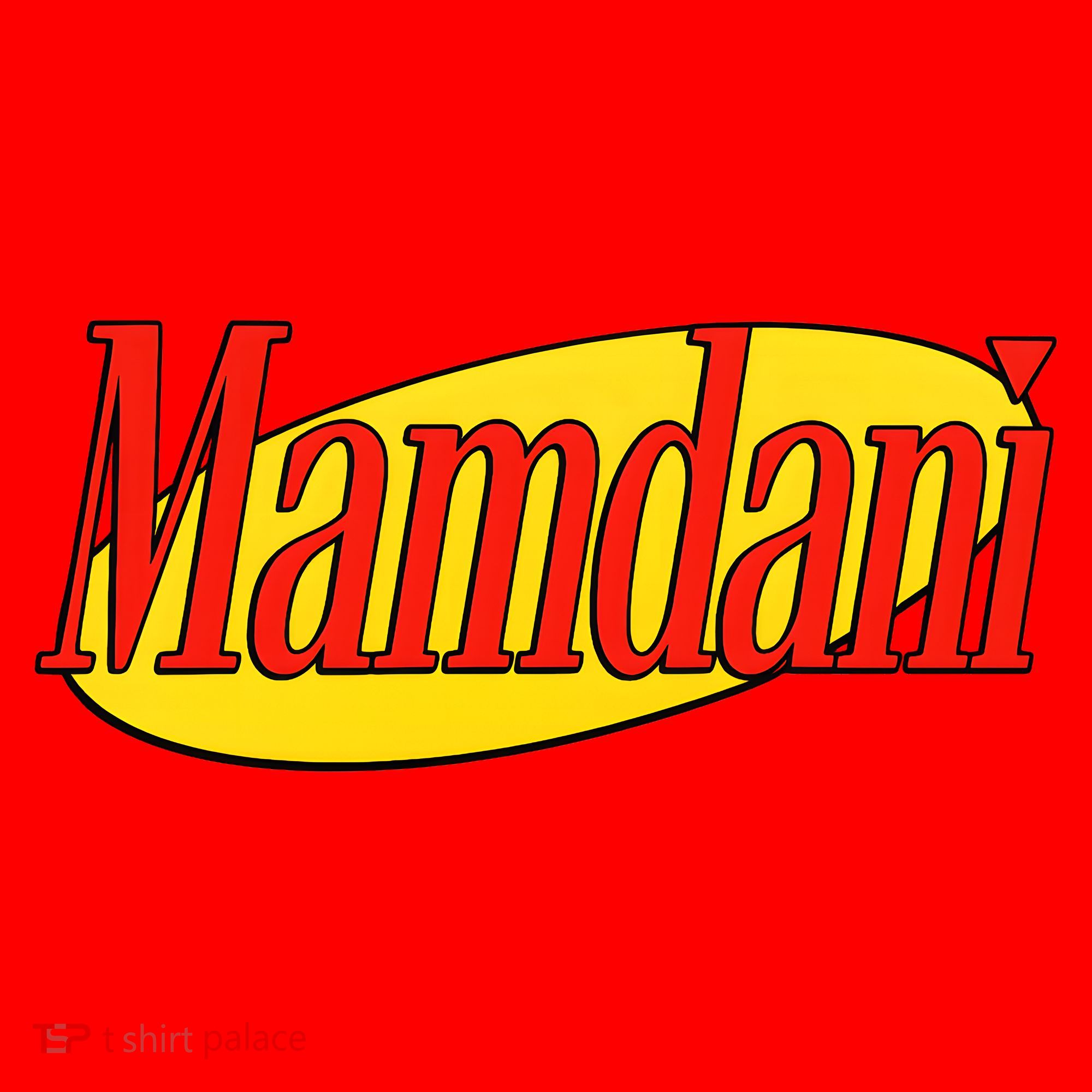 Mamdani Santa Hat
