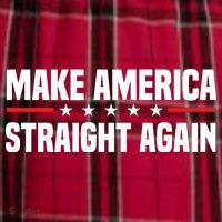 MASA Make America Straight Again Men's Flannel Plaid Pajama Pants thumb 2