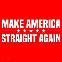 MASA Make America Straight Again Santa Hat thumb 1