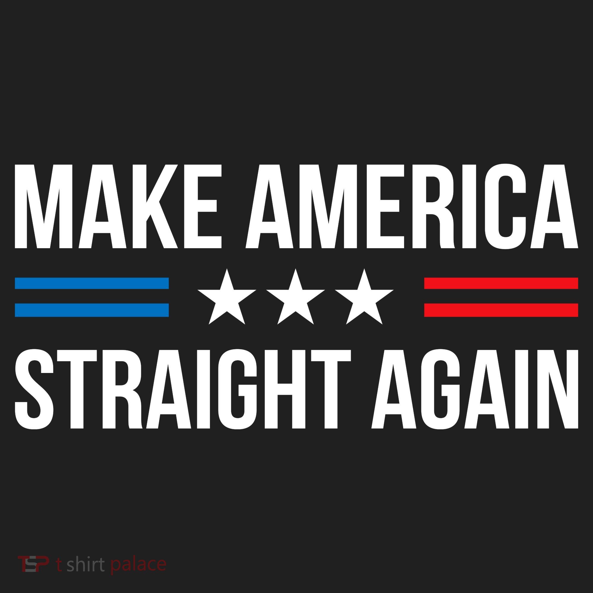 MASA Make America Straight Again Beanie