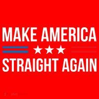 MASA Make America Straight Again Santa Hat thumb 1
