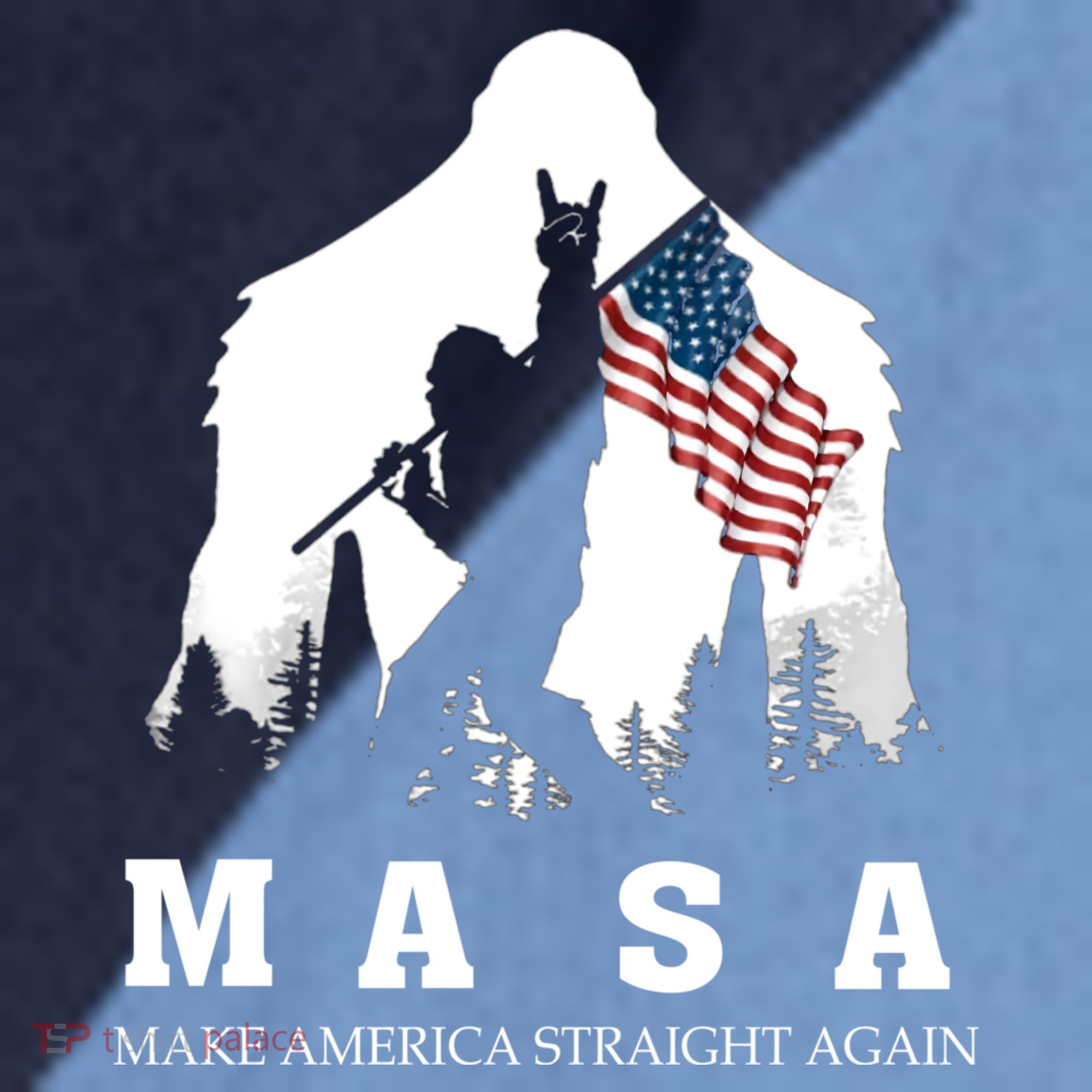MASA Make America Straight Again Raglan Baseball Sleeve Shirt