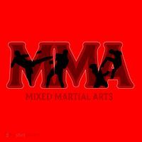 Mixed Martial Arts Mma Sports Gift Funny Gift Santa Hat thumb 1