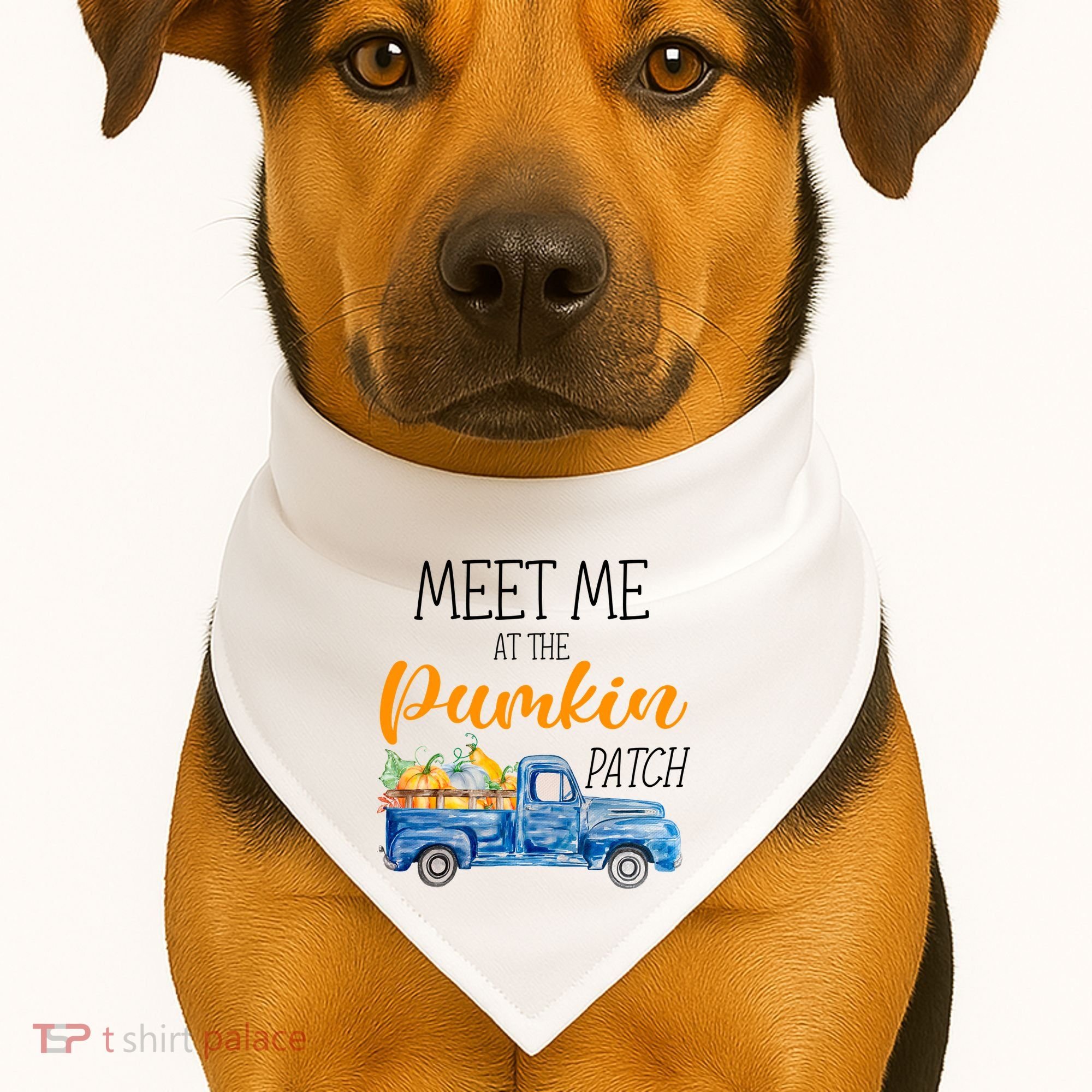 Meet Me At The Pumpkin Patch Cute Halloween USA-Made Doggie Bandana