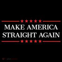 MASA Make America Straight Again Sweatshirt thumb 3