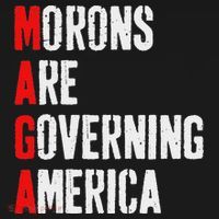 Maga Morons Are Governing America Anti Trump Ornament thumb 1