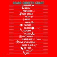 Mens Mens BEARD GROWTH CHART Measurement Beard Santa Hat thumb 1