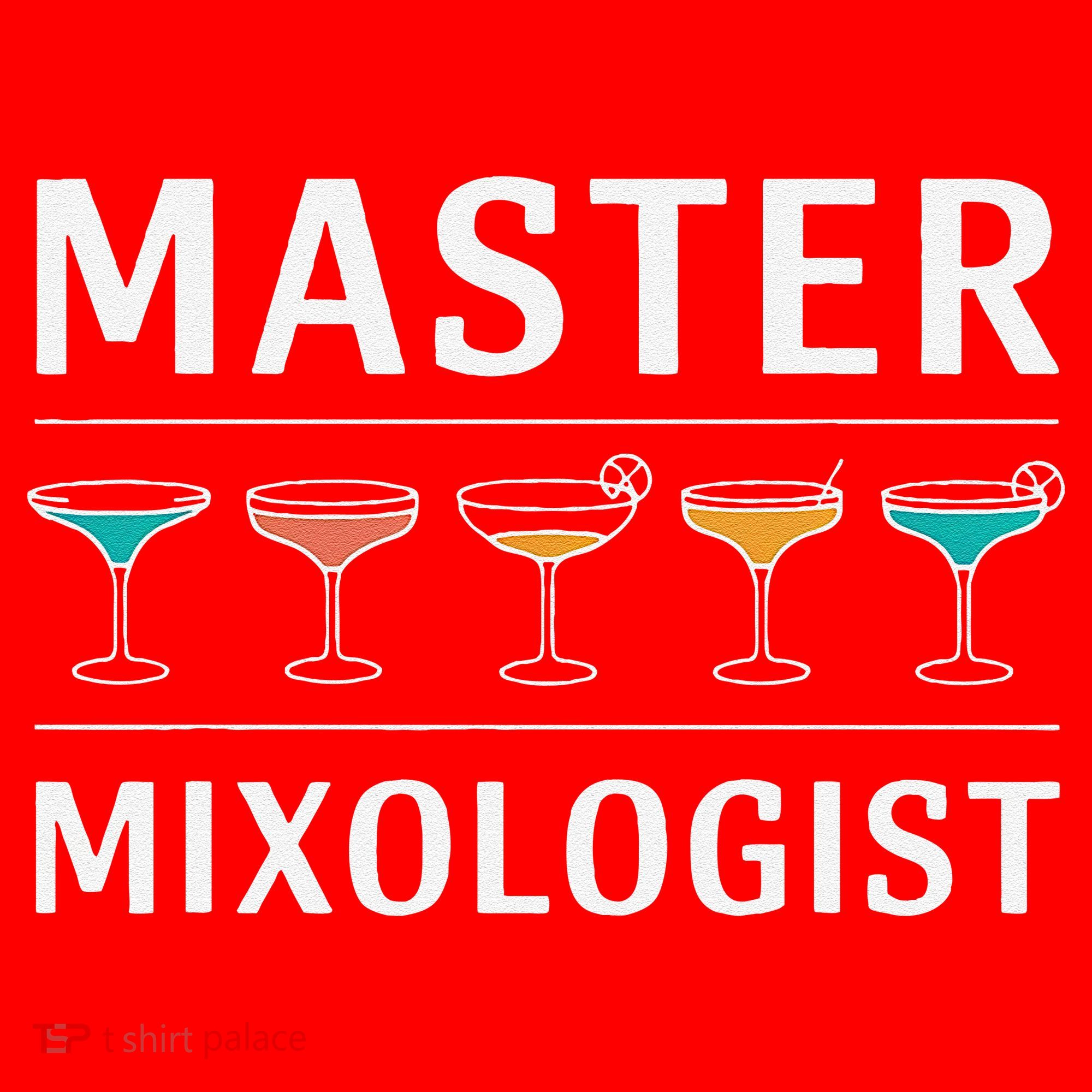 Master Mixology Barkeeper Bartender Mixer Santa Hat