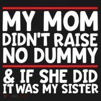 My Mom Didn't Raise No Dummy And If She Did It Was My Sister Gift Ornament thumb 1