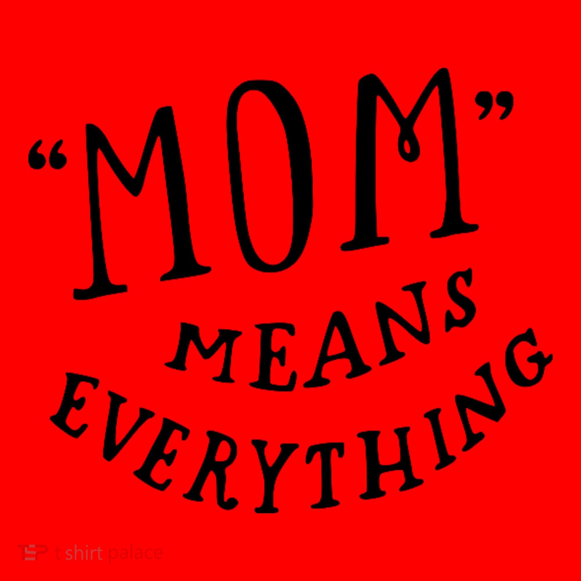 Mom Means Everything Santa Hat