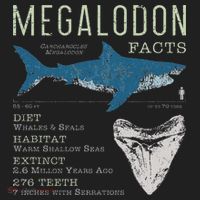 Megalodon Meg Facts Funny Shark Lover Gift Women's Sweatshirt thumb 2