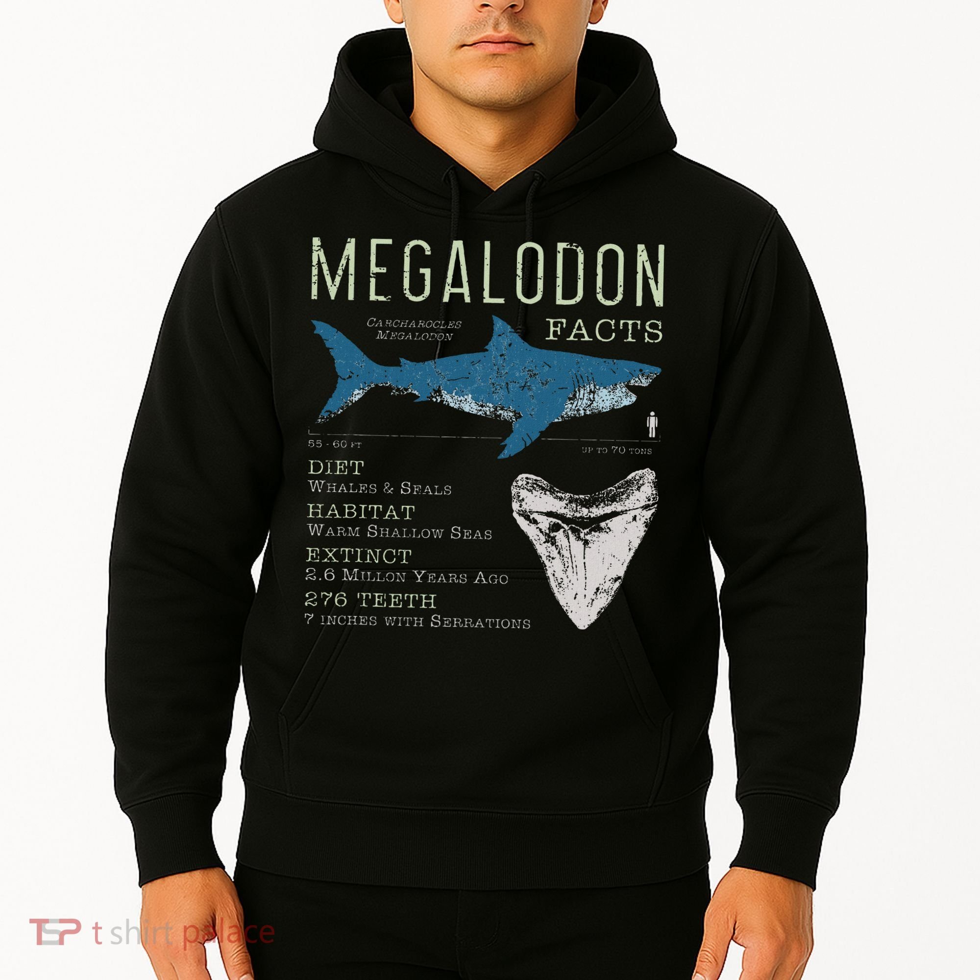 Megalodon Meg Facts Funny Shark Lover Gift Hoodie
