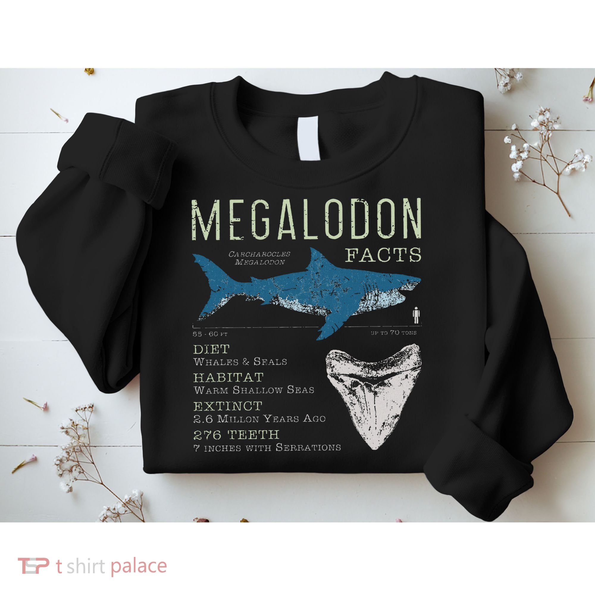 Megalodon Meg Facts Funny Shark Lover Gift Sweatshirt