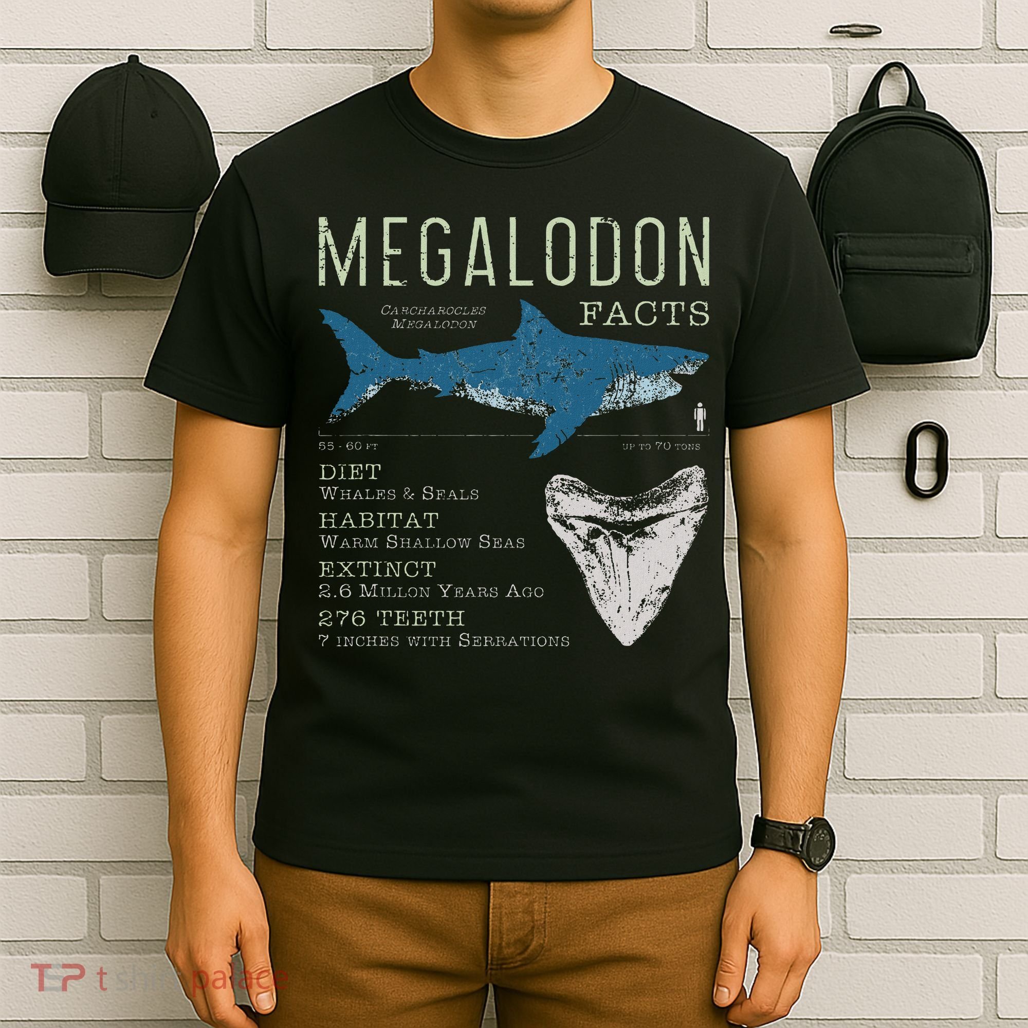 Megalodon Meg Facts Funny Shark Lover Gift T-Shirt