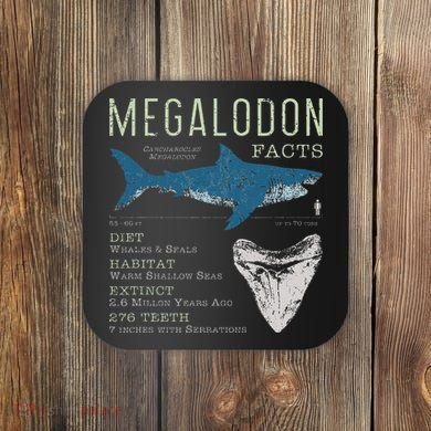 Megalodon Meg Facts Funny Shark Lover Gift Coaster