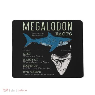 Megalodon Meg Facts Funny Shark Lover Gift Mousepad