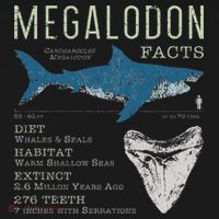 Megalodon Meg Facts Funny Shark Lover Gift Tall Sweatshirt thumb 2