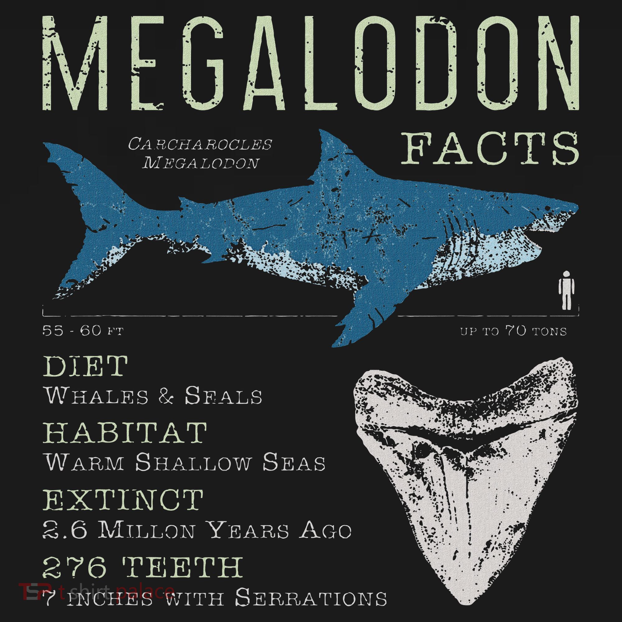 Megalodon Meg Facts Funny Shark Lover Gift Tall Sweatshirt