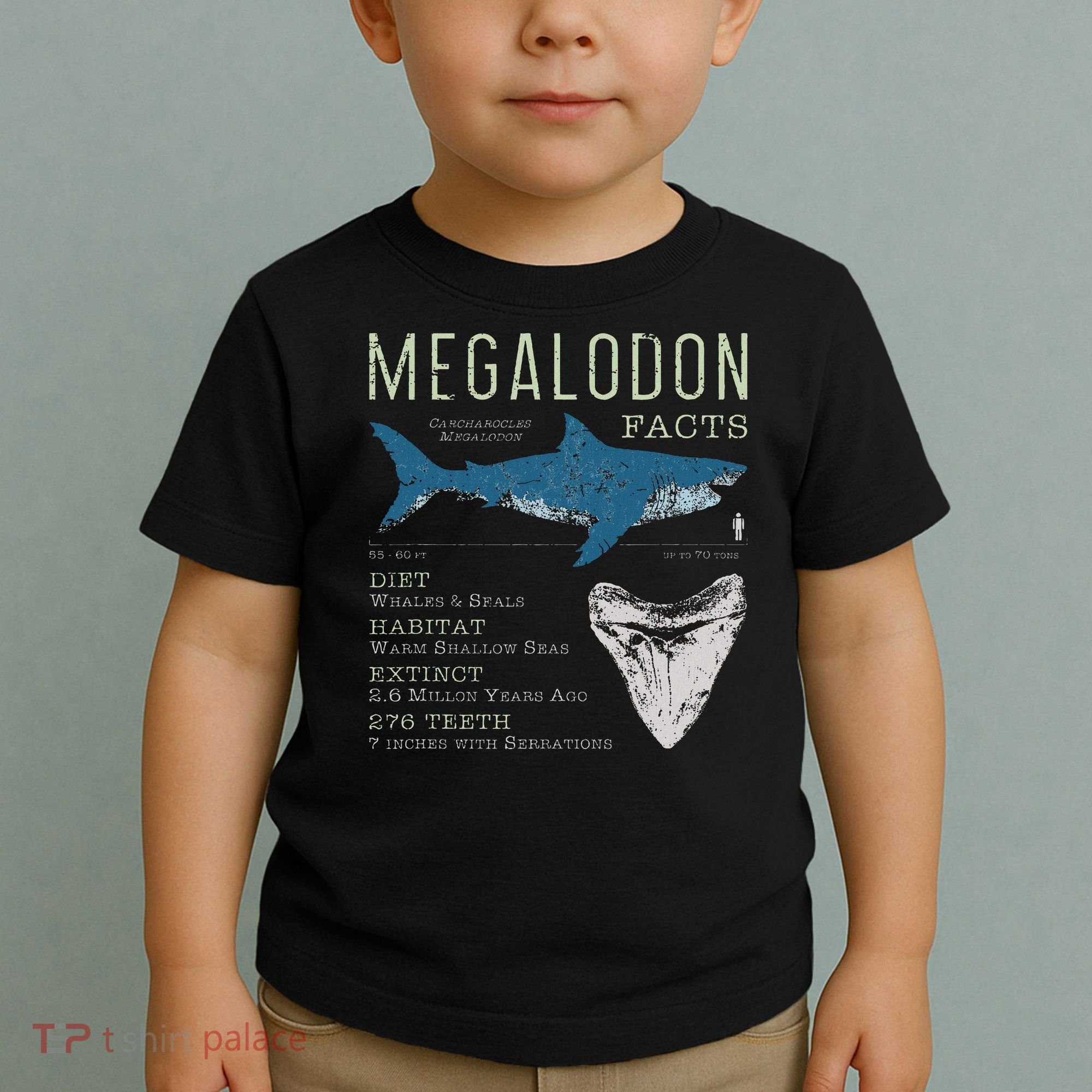 Megalodon Meg Facts Funny Shark Lover Gift Toddler T-Shirt