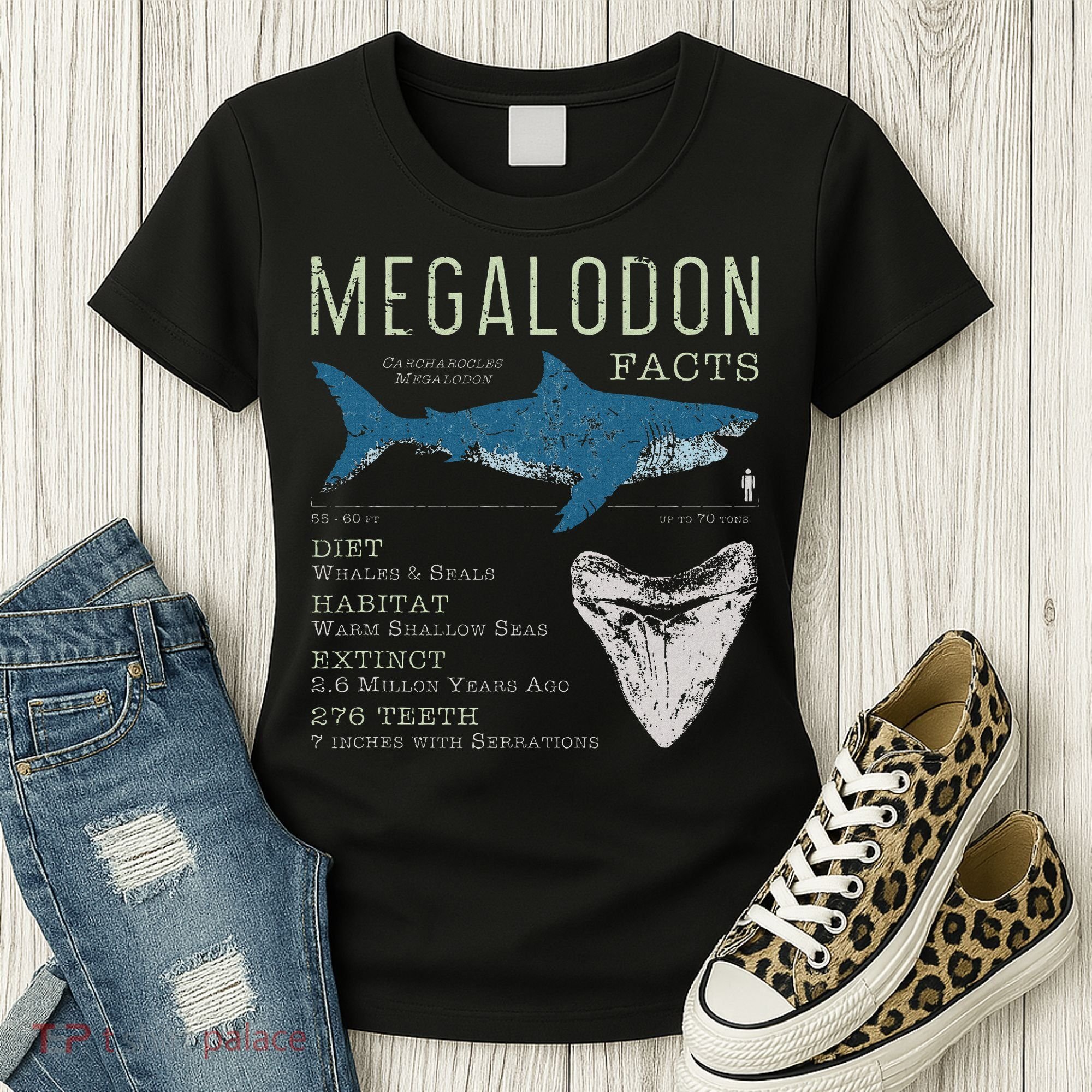 Megalodon Meg Facts Funny Shark Lover Gift Women's T-Shirt