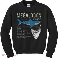 Megalodon Meg Facts Funny Shark Lover Gift Kids Sweatshirt thumb 0