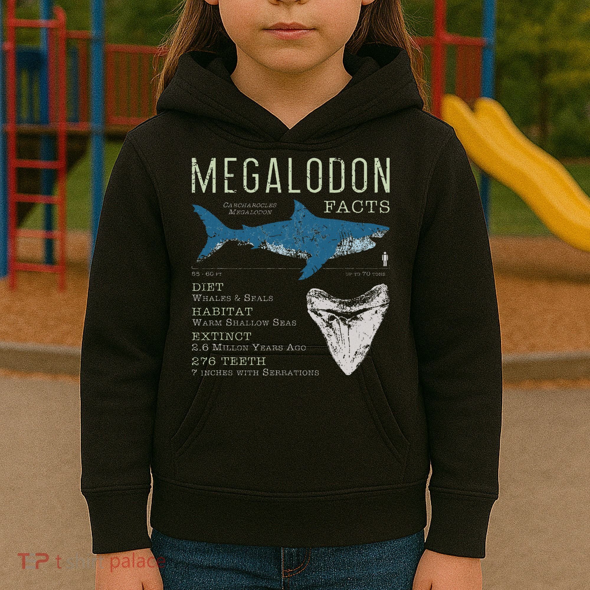Megalodon Meg Facts Funny Shark Lover Gift Kids Hoodie
