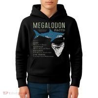 Megalodon Meg Facts Funny Shark Lover Gift Kids Hoodie thumb 4