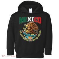Mexico Mexican Flag Eagle And Snake Toddler Hoodie thumb 0