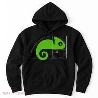 Math Mathematics Fibonacci Sequence Chameleon Golden Ratio Hoodie thumb 0
