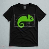 Math Mathematics Fibonacci Sequence Chameleon Golden Ratio T-Shirt thumb 5