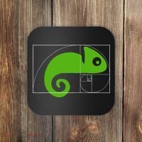 Math Mathematics Fibonacci Sequence Chameleon Golden Ratio Coaster thumb 0