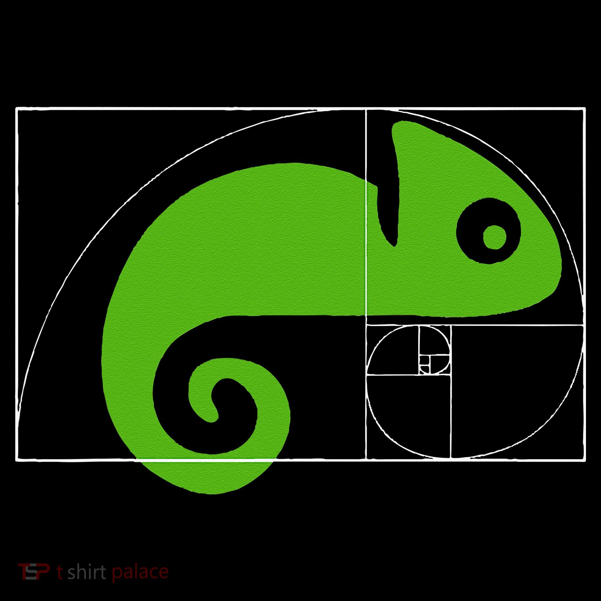 Math Mathematics Fibonacci Sequence Chameleon Golden Ratio Women's Hoodie