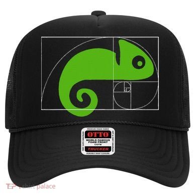 Math Mathematics Fibonacci Sequence Chameleon Golden Ratio Hat