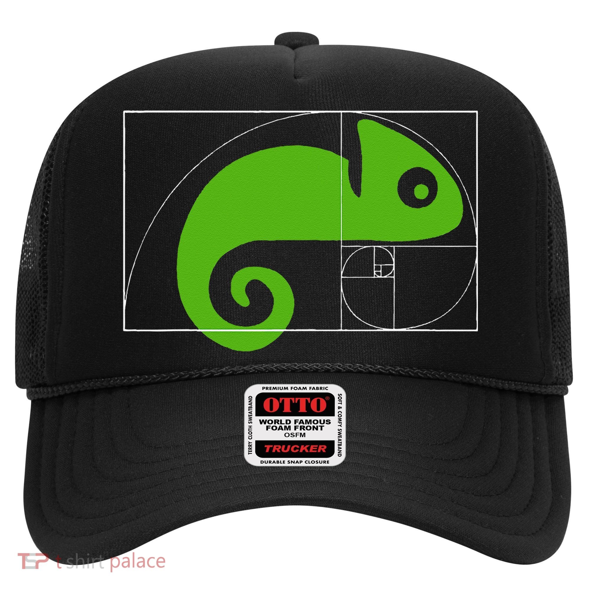 Math Mathematics Fibonacci Sequence Chameleon Golden Ratio Hat