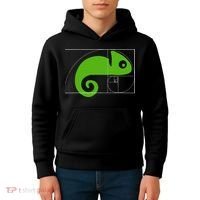 Math Mathematics Fibonacci Sequence Chameleon Golden Ratio Kids Hoodie thumb 4