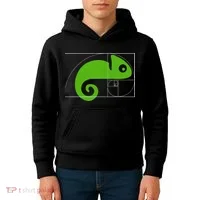 Math Mathematics Fibonacci Sequence Chameleon Golden Ratio Kids Hoodie thumb 4