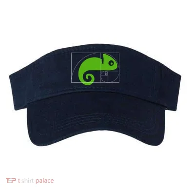 Visor