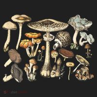 Mushroom Mycology Fungi Foraging Mushroom Whisperer Tumbler thumb 3