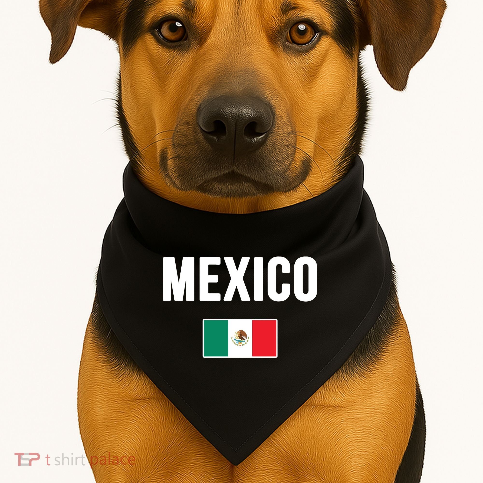 Mexico Mexican Flag USA-Made Doggie Bandana