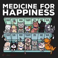 My Medicine For Happiness Called Cats Every Day Kitten Cat Women's Sweatshirt thumb 2