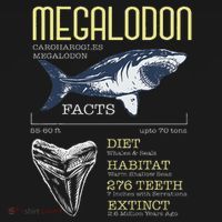 Megalodon Meg Facts Funny Shark Lover Sweatshirt thumb 3