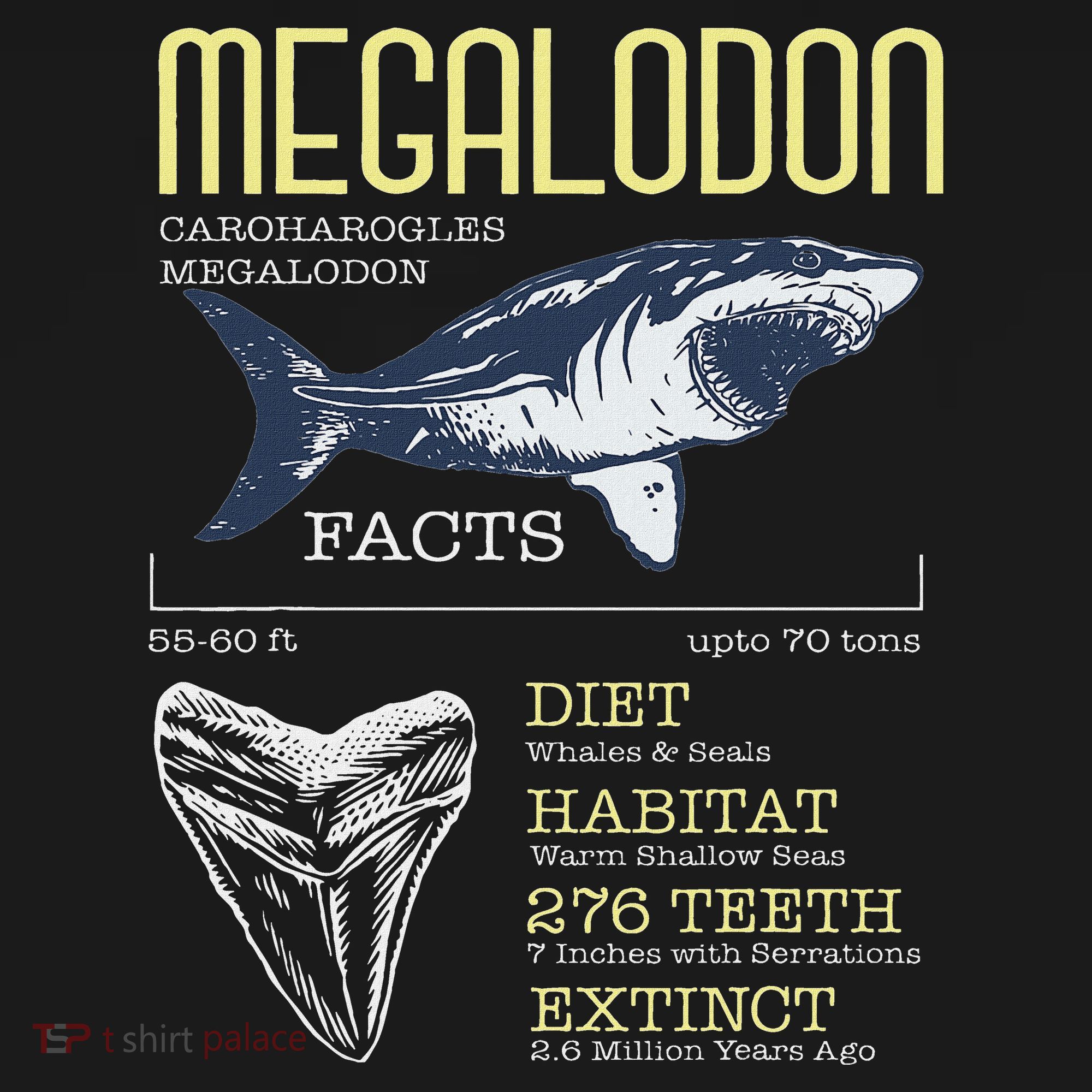 Megalodon Meg Facts Funny Shark Lover Sweatshirt