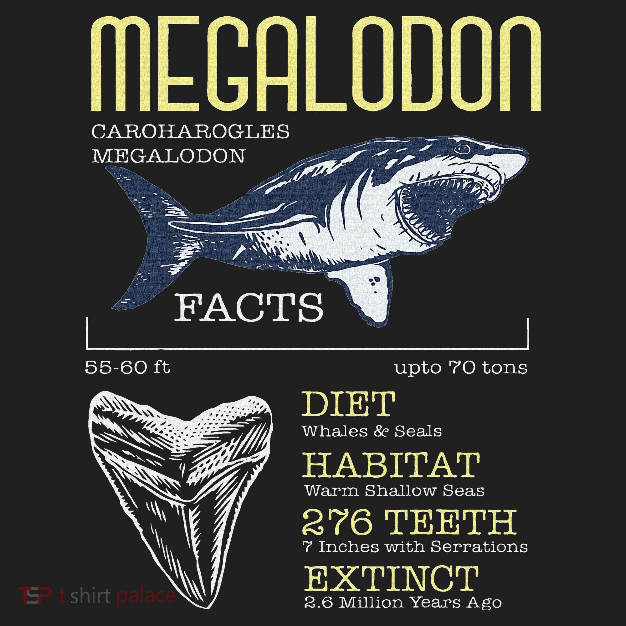 Megalodon Meg Facts Funny Shark Lover Beanie