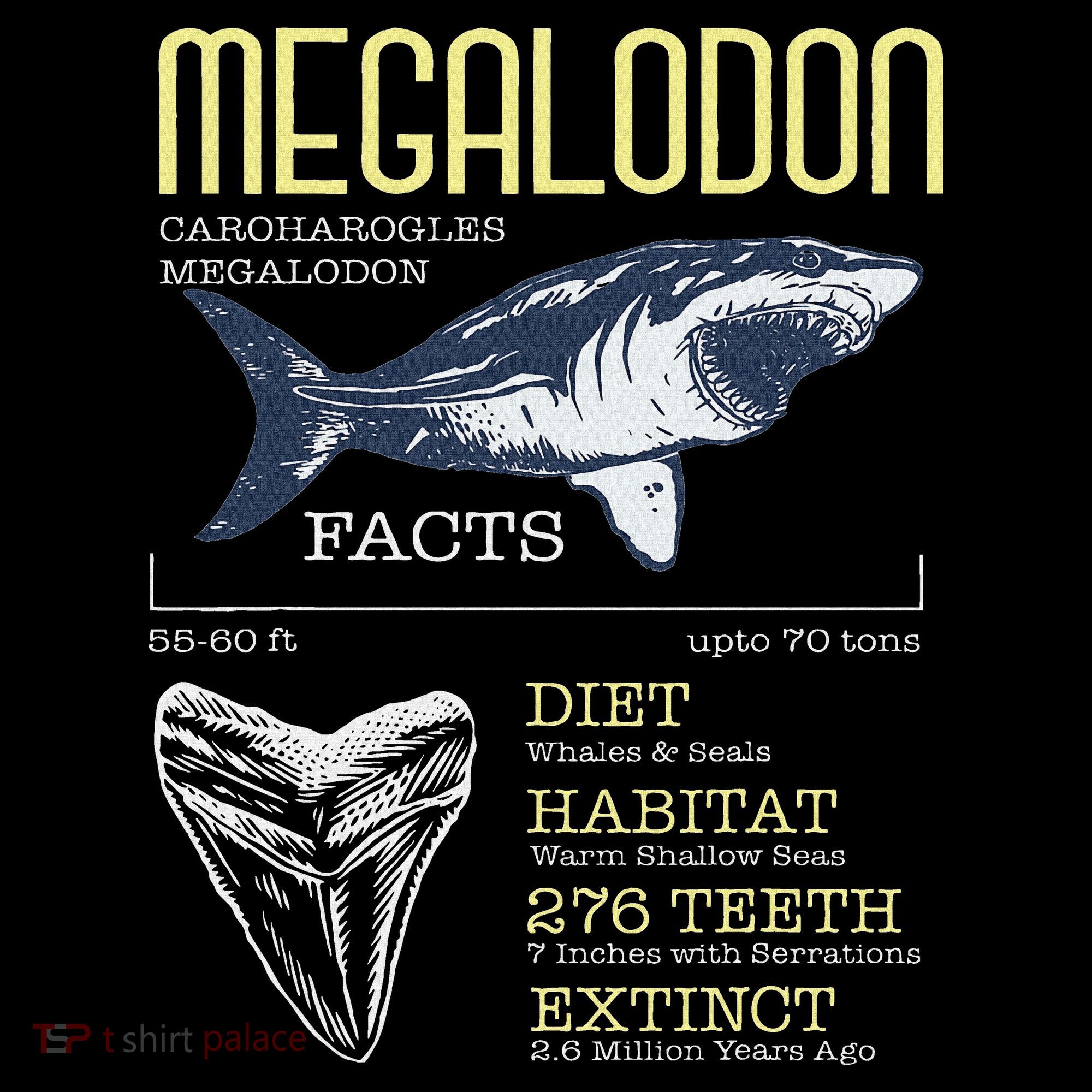 Megalodon Meg Facts Funny Shark Lover Women's Hoodie