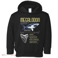 Megalodon Meg Facts Funny Shark Lover Toddler Hoodie thumb 0