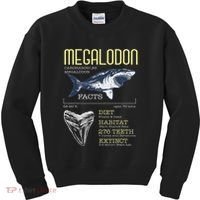 Megalodon Meg Facts Funny Shark Lover Kids Sweatshirt thumb 0